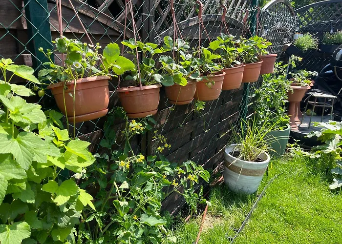 Apartment In Wola- Near Progresja-direct Bus To Old Town