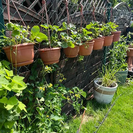 아파트 In Wola- Near Progresja-direct Bus To Old Town